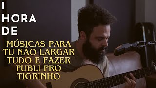 1 HORA DE MÚSICAS PRA TE ACALMAR E NÃO DEIXAR TU LARGAR TUDO PRA FAZER PUBLI PRO TIGRINHO
