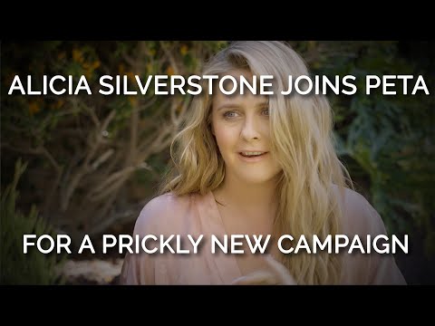 Alicia Silverstone Poses Nude For New PETA Campaign | HuffPost Entertainment