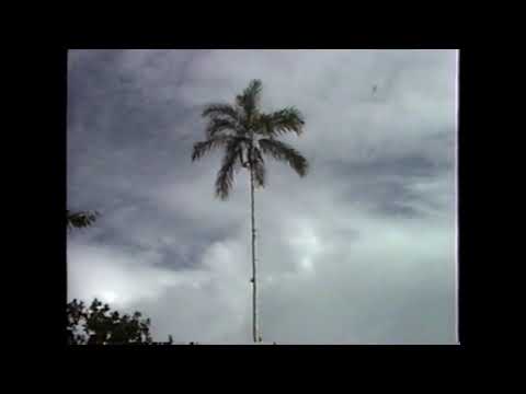 Clipe "Domingo em Querari"