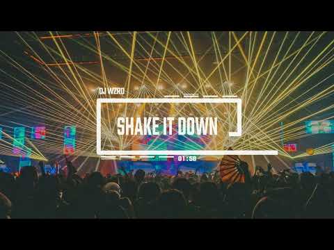 DJ WZRD - Shake It Down