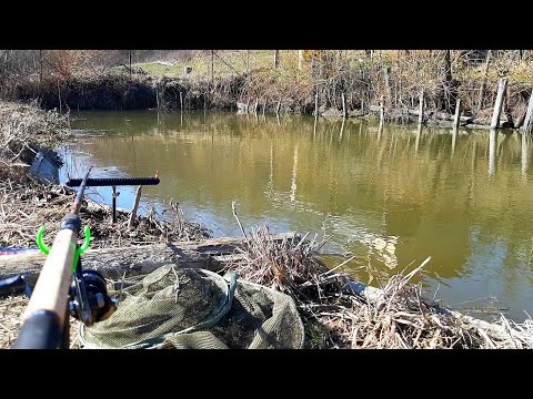 AM PESCUIT IN BALTA DE ACASA - PREZENTAREA BALTII