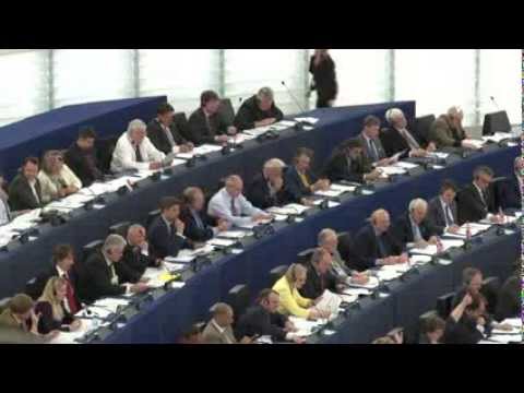 EU-Parlament - Wie entstehen Gesetze in Brüssel?