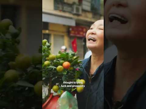 The Importance of Family in Vietnam