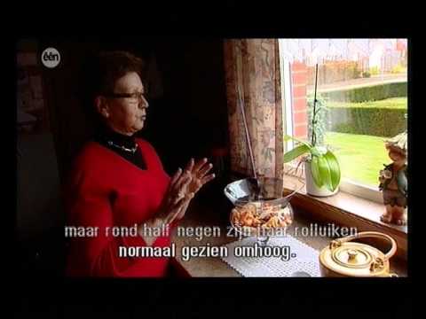 Man bijt hond - Burenblik met Stazie uit Rillaar