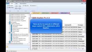 CBMS Tutorial: 03 Executing SQL Statements in StatSim 6