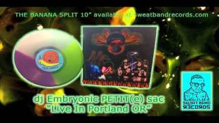 DJ embryonic Petit SAC... Live in Portland...