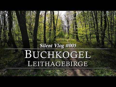 🇦🇹 Buchkogel / Leithagebirge | Silent Vlog #005