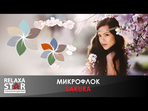 Кресло реклайнер с подъемом FUJIMO LIFT Compact F3005 FLWK Терра (Sakura 20) - Видео 2