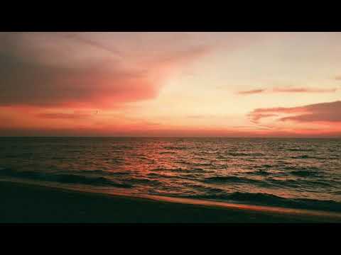 TW1GZ x STONEMIST - Taiga