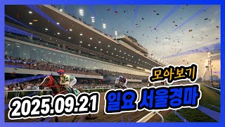 2025년 9월 21일 일요 서울경마 전체경주 모아보기
