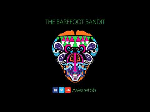 Blue Lights Flashing - The Barefoot Bandit