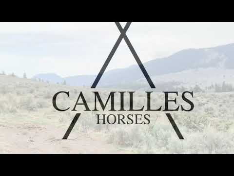 Riding the Range lands to check feral/wild horses - Camilleshorsemanship