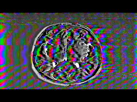 M Y D R E A M Y A D V E N T U R E x captn croozy | Enter the Void 2