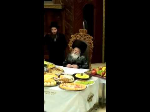 Tu Bishvat 5776 With Premishlan Rebbe #2