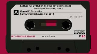 Lec12: Evolution and the development and plasticity of behavior, part 1