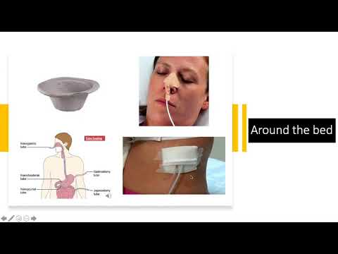 PAL - Acute Abdomen Lecture