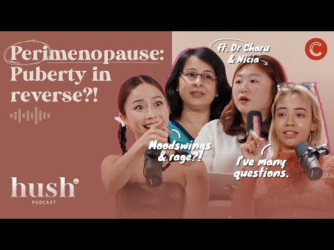 Mood swings & rage: How PERIMENOPAUSE affects us | Hush Podcast