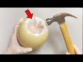 Strange Organ Inside Ostrich Egg Ostrich Egg Dissection