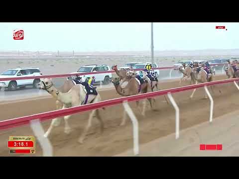 ش 4 (شرط) لـ سليمان سالم بن حاكم المالكي 4:32:86 ، مهرجان العين 2026/08/03 حقايق الروضة