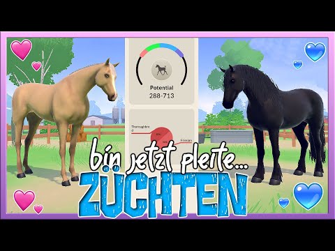 , title : 'wir ZÜCHTEN 🐴✅ bis wir PLEITE sind 💸❌ (woops 🤯) Equestrian the Game'