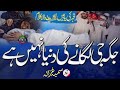 Jagah Ji Lagane Ki Duniya Nahi Hai Sumaiya Ghazala Heart Touching Kalam Khubsurat Naat