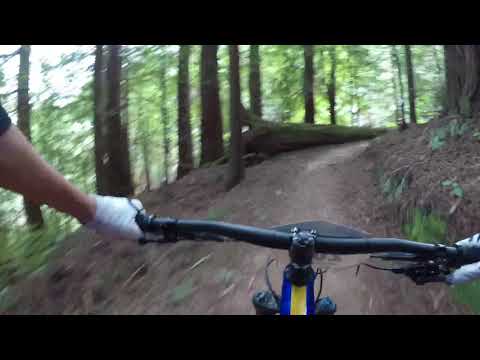 Whaka 100 TT/Shootout 2017