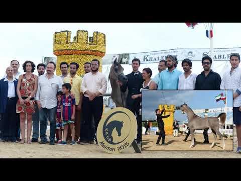 ALEXXANDERR THE GREAT Aachen 2015 أليكساندر آخن