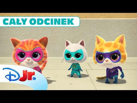 Cały odcinek:🧶 Tajemnica znikającej włóczki | Superkoty | Disney Junior Polska