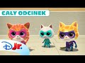 Cały Odcinek Tajemnica Znikającej Włóczki Superkoty Disney Junior Polska