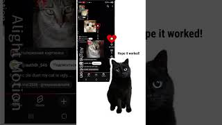 Download lagu unfortunately i don't have a cat so this cat is from google #alightmotion #duet mp3 Download lagu unfortunately i don't have a cat so this cat is from google #alightmotion #duet mp3