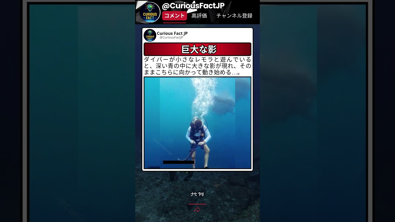 後ろから来てるのに気づいてない感じがヤバい