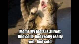 Boy Band- Son of Dork