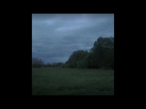 ✦ free ambient x yung lean type beat "forest"