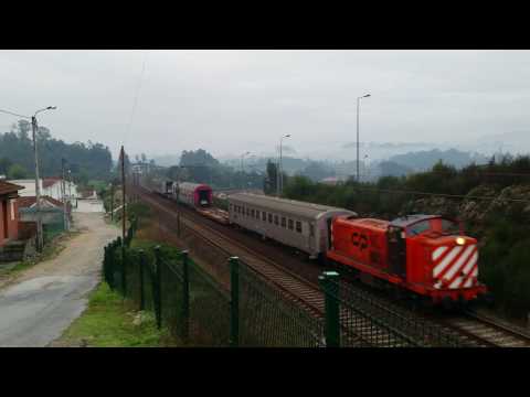 Comboio n.º 31301 (Transporte do Comboio Histórico de Via Estreita) - Meinedo