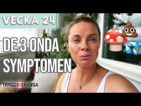 "FLYTNINGAR FRÅN HELL"  - Ida & Arvid vecka 24