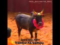 Anbu Na Anbu Vambu Na Vambu