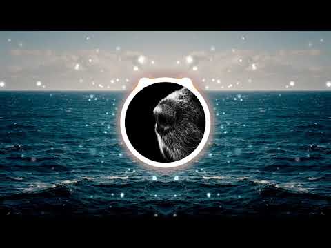 kigo-Alan Walker ft. Selena Gomez - It Ain't Faded (2020)