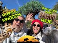 African Safari Experience Animal Kingdom Disney Tour