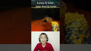 Download lagu Lost at Barca 😭 Won at Maru 😍 #channa #fishing #shorts mp3