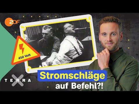 Das Milgram-Experiment: Würdest du gehorchen? | Brain Projects | Terra Xplore mit Leon Windscheid