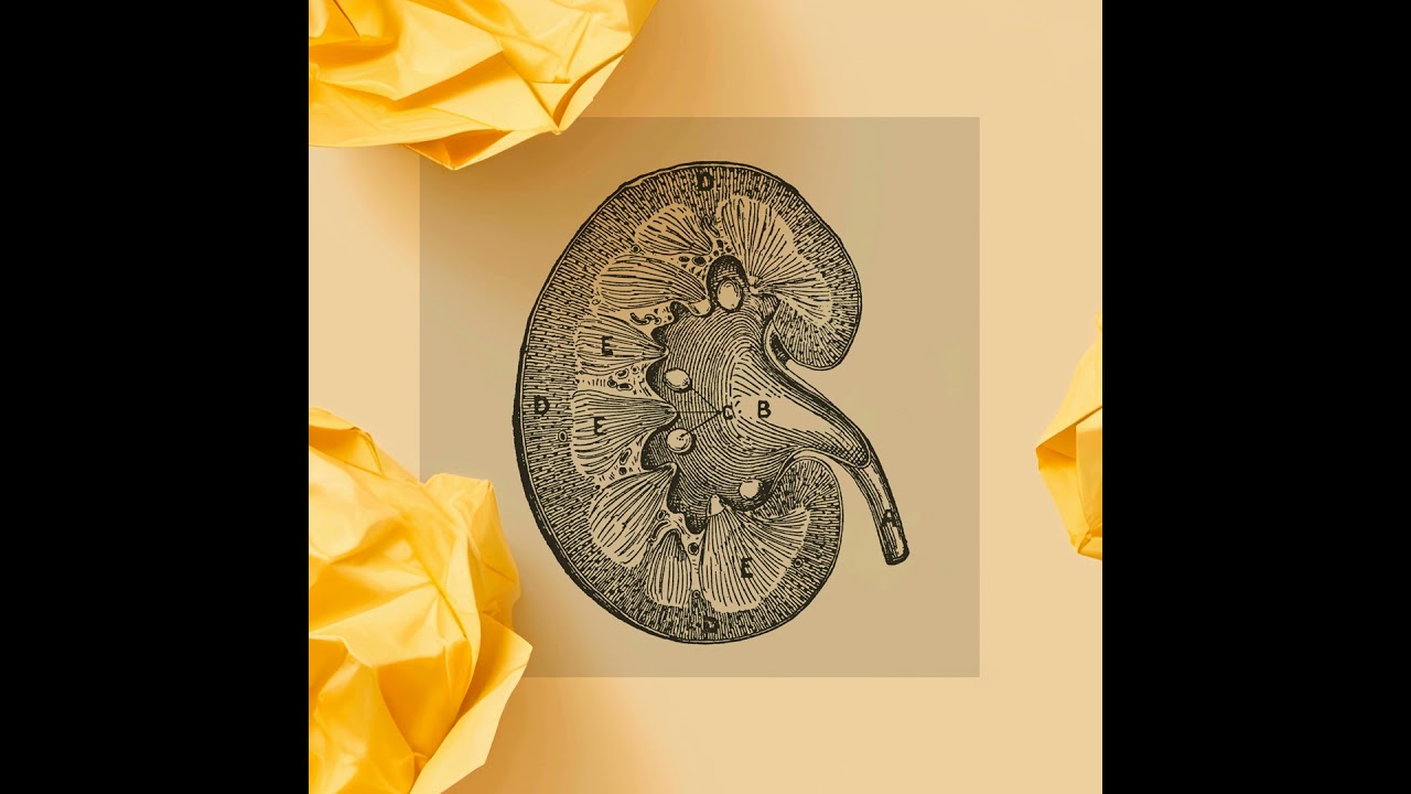 Would You Give Up Your Kidney for $50,000?