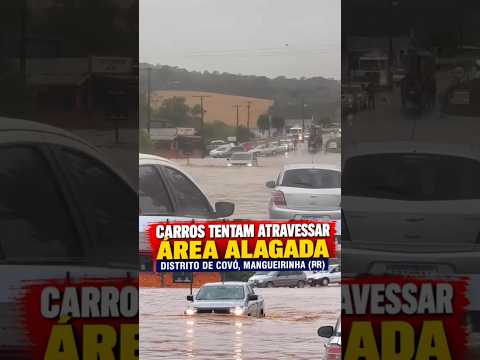 Alagamentos no Distrito do Covó em Mangueirinha PR #temporal #chuva #paraná #sul