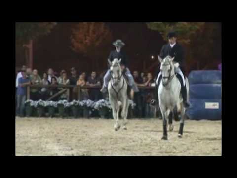 Ponte de Lima Equestre (2 de 2) 