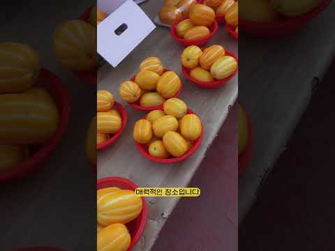 [2025 상주시 sns 서포터즈] 추억이 가득한 상주 중앙 5일시장! #상주시#상주시 #상주여행 #상주중앙시장 #전통시장 #5일장