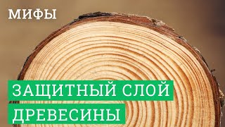 Постер для видео - Сказки про защитный слой древесины в деревянном домостроении