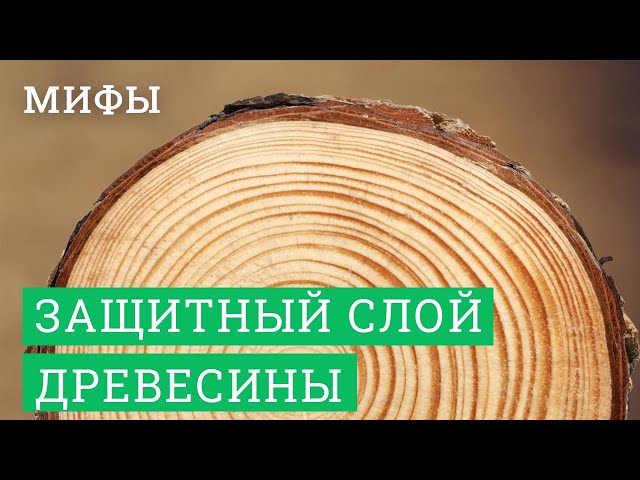 Постер для видео - Сказки про защитный слой древесины в деревянном домостроении