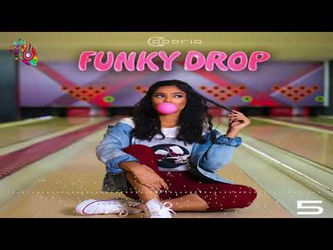 ریمیکس جدید و زیبای دیجی پوریا به نام فانکی دراپ 5 | New Persian Remix - New Music mix 2021