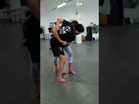 HOW To Counter The Uchi Mata #judo