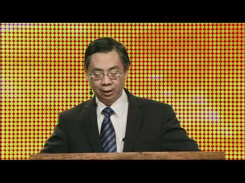 Plenary 2: Equilibrium vs. Diversity in Unity - Patrick Fung - Cape Town 2010