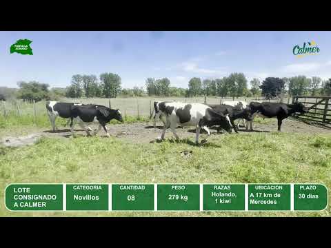 Video del lote L0-000872
